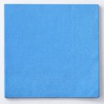 Market - Curatenie si intretinere casa - Produse bucatarie - Prosoape de hartie si servetele - Servetele de masa cu 2 straturi, Bleu, 33x33cm, 20 buc - Infinity.ro