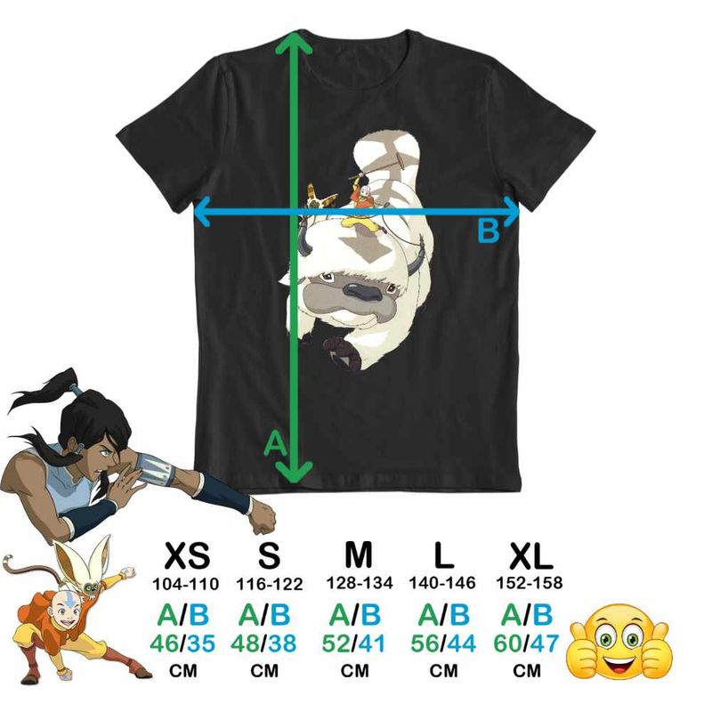 Fashion, accesorii si bijuterii - Copii - Imbracaminte copii - Tricouri copii - Tricou Copii Fete Avatar Airbender Appa Maestru Aerului Momo, negru, marime XL Copii - Infinity.ro