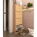 Casa si Gradina - Mobilier - Dulapuri si sifoniere - Dulapuri pantofi - Pantofar 4 compartimente, artisan, VIVAT NEW TYP 3 - Infinity.ro
