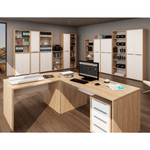 Casa si Gradina - Mobilier - Biblioteci si rafturi - Etajere - Raft inalt, stejar artizan/alb, RIOMA TYP 02 - Infinity.ro