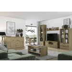 Casa si Gradina - Mobilier - Comode si corpuri - Comode - Comoda TV 2D1S/135, stejar navarra, DORSI - Infinity.ro