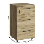 Casa si Gradina - Mobilier - Dulapuri si sifoniere - Dulapuri - Container 3S, stejar navarra, DORSI - Infinity.ro