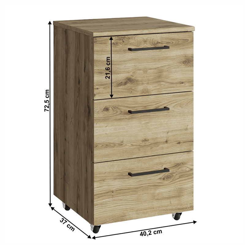 Casa si Gradina - Mobilier - Dulapuri si sifoniere - Dulapuri - Container 3S, stejar navarra, DORSI - Infinity.ro