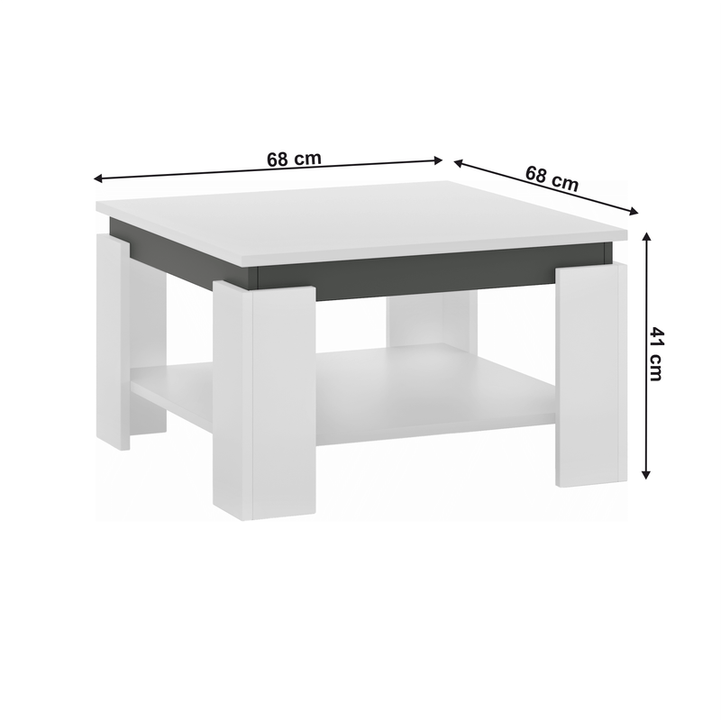 Casa si Gradina - Mobilier - Mese si birouri - Masute de cafea - Masuta de cafea, alba/grafit, LEJSY - Infinity.ro