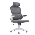 Casa si Gradina - Mobilier - Scaune si fotolii - Scaune - Scaun de birou, gri inchis / alb, RENARD - Infinity.ro