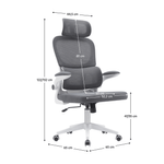Casa si Gradina - Mobilier - Scaune si fotolii - Scaune - Scaun de birou, gri inchis / alb, RENARD - Infinity.ro