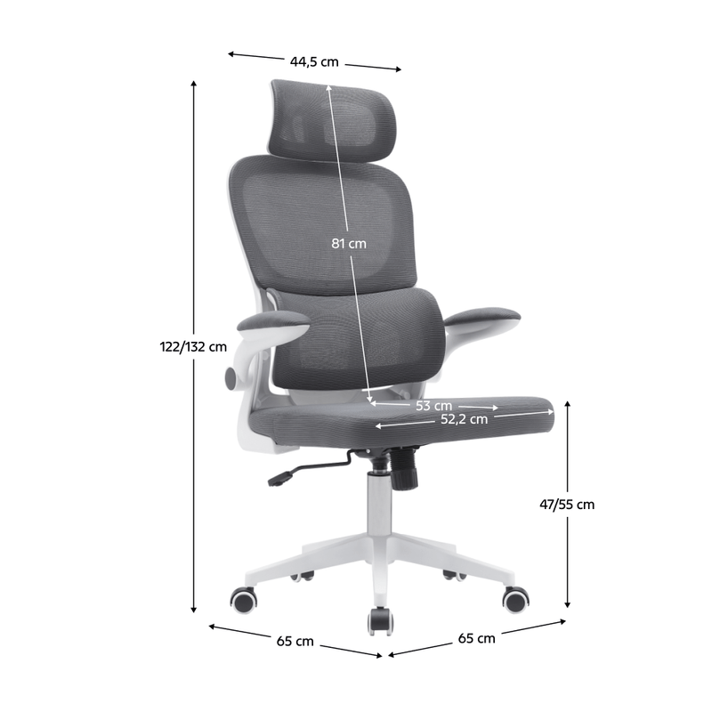 Casa si Gradina - Mobilier - Scaune si fotolii - Scaune - Scaun de birou, gri inchis / alb, RENARD - Infinity.ro