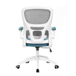Casa si Gradina - Mobilier - Scaune si fotolii - Scaune - Scaun de birou, maro / neomint / alb, RAMIRO - Infinity.ro