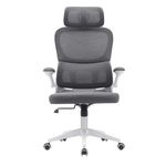 Casa si Gradina - Mobilier - Scaune si fotolii - Scaune - Scaun de birou, gri inchis / alb, RENARD - Infinity.ro