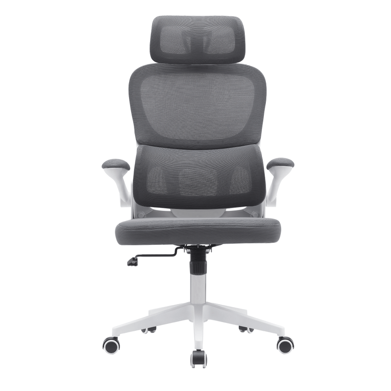 Casa si Gradina - Mobilier - Scaune si fotolii - Scaune - Scaun de birou, gri inchis / alb, RENARD - Infinity.ro