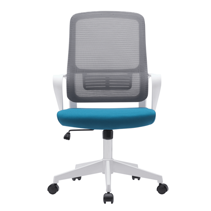 Casa si Gradina - Mobilier - Scaune si fotolii - Scaune - Scaun de birou, gri / petrol / alb, SALOMO TIP 1 - Infinity.ro