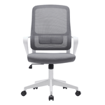 Casa si Gradina - Mobilier - Scaune si fotolii - Scaune - Scaun de birou, gri / alb, SALOMO TIP 1 - Infinity.ro