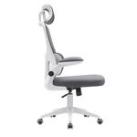 Casa si Gradina - Mobilier - Scaune si fotolii - Scaune - Scaun de birou, gri inchis / alb, RENARD - Infinity.ro
