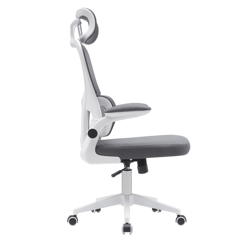 Casa si Gradina - Mobilier - Scaune si fotolii - Scaune - Scaun de birou, gri inchis / alb, RENARD - Infinity.ro