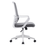 Casa si Gradina - Mobilier - Scaune si fotolii - Scaune - Scaun de birou, gri / alb, SALOMO TIP 1 - Infinity.ro