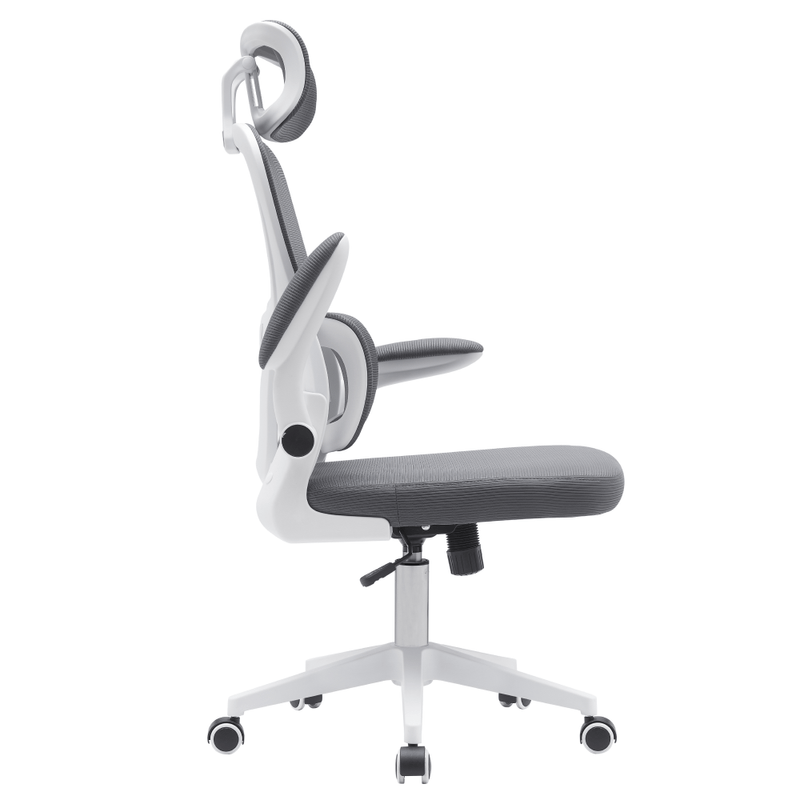 Casa si Gradina - Mobilier - Scaune si fotolii - Scaune - Scaun de birou, gri inchis / alb, RENARD - Infinity.ro
