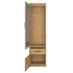 Casa si Gradina - Mobilier - Comode si corpuri - Corpuri bucatarie - Vitrina 1D1W1S, stejar Artisan, AIRON - Infinity.ro