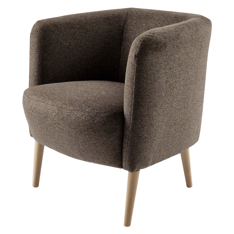 Casa si Gradina - Mobilier - Scaune si fotolii - Fotolii - Fotoliu, maro / fag, ALIEN - Infinity.ro