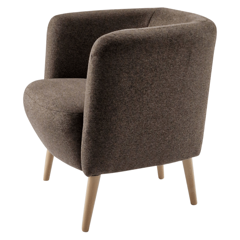 Casa si Gradina - Mobilier - Scaune si fotolii - Fotolii - Fotoliu, maro / fag, ALIEN - Infinity.ro