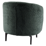 Casa si Gradina - Mobilier - Scaune si fotolii - Fotolii - Fotoliu, verde / negru, PRESO - Infinity.ro