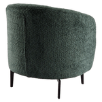Casa si Gradina - Mobilier - Scaune si fotolii - Fotolii - Fotoliu, verde / negru, PRESO - Infinity.ro