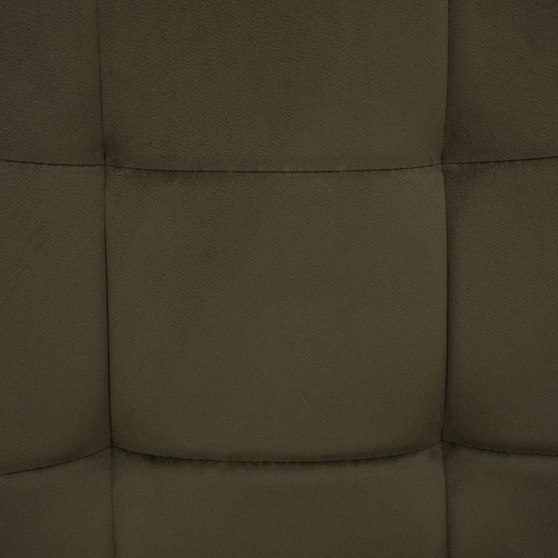 Casa si Gradina - Mobilier - Scaune si fotolii - Scaune - Scaun de design, Velvet verde/negru, PETIN - Infinity.ro