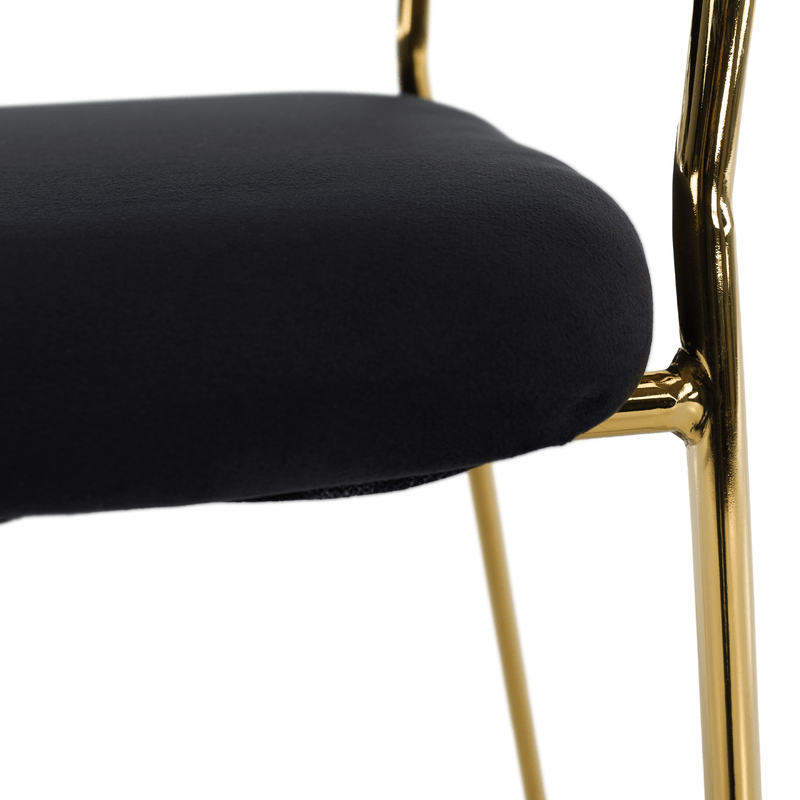 Casa si Gradina - Mobilier - Scaune si fotolii - Scaune - Scaun de sufragerie de design, material Velvet negru/gold crom auriu, DASMIN TIP 1 - Infinity.ro