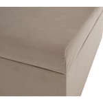 Casa si Gradina - Mobilier - Mobilier copii - Patuturi copii - Canapea extensibila cu spatiu de depozitare, bej-gri, AURIA UNI - Infinity.ro