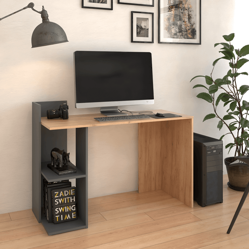 Casa si Gradina - Mobilier - Mese si birouri - Birouri - Masa PC, stejar craft auriu/grafit, ZINO NEW - Infinity.ro
