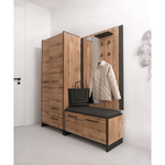 Casa si Gradina - Mobilier - Dulapuri si sifoniere - Dulapuri - Dulap, stejar wotan/negru, AMONI 2D2S/45 - Infinity.ro
