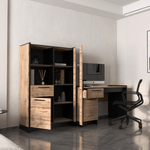 Casa si Gradina - Mobilier - Comode si corpuri - Corpuri bucatarie - Vitrina joasa, stejar wotan/negru, AMONI 1D1W1S - Infinity.ro
