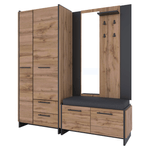 Casa si Gradina - Mobilier - Dulapuri si sifoniere - Dulapuri pantofi - Pantofar, stejar wotan/negru, AMONI 2D - Infinity.ro