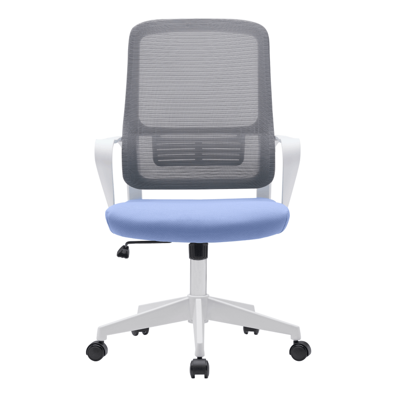 Casa si Gradina - Mobilier - Scaune si fotolii - Scaune - Scaun de birou, neomint-albastru deschis/gri/alb, SALOMO TIP 1 - Infinity.ro