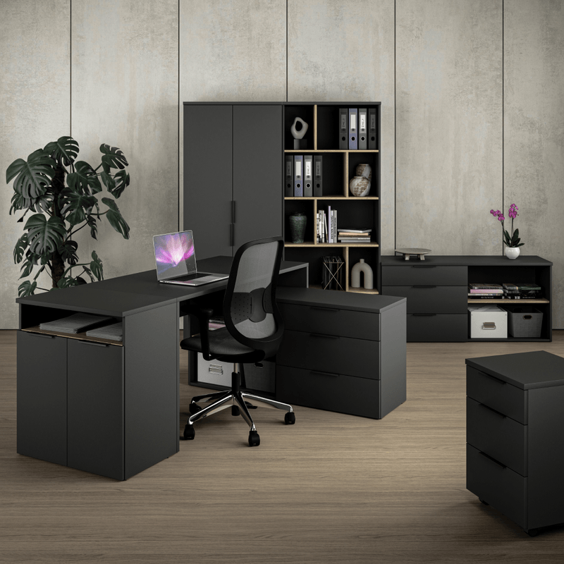 Casa si Gradina - Mobilier - Mese si birouri - Birouri - Masa PC, antracit, ADAPO ADP03 - Infinity.ro