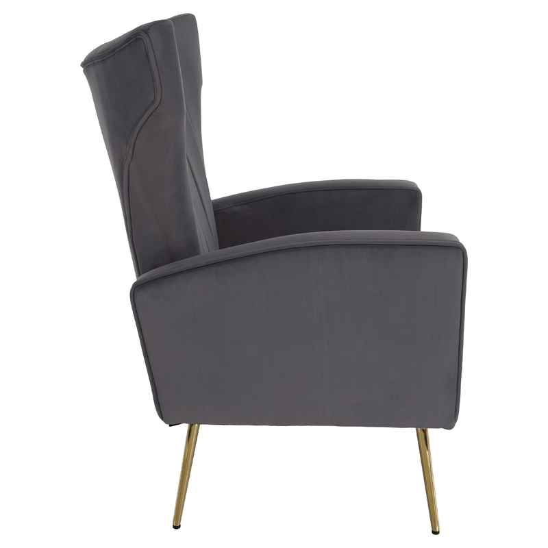 Casa si Gradina - Mobilier - Scaune si fotolii - Fotolii - Fotoliu de relaxare, tesatura Velvet gri, BARET - Infinity.ro