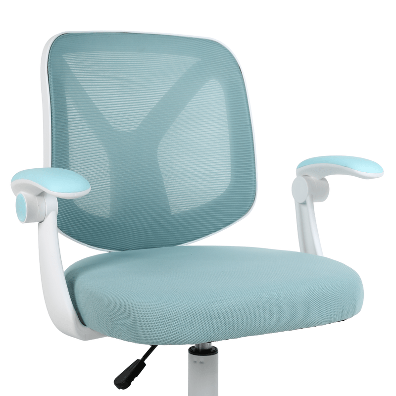 Casa si Gradina - Mobilier - Scaune si fotolii - Scaune - Fotoliu de birou, albastru/alb, SOLARI - Infinity.ro