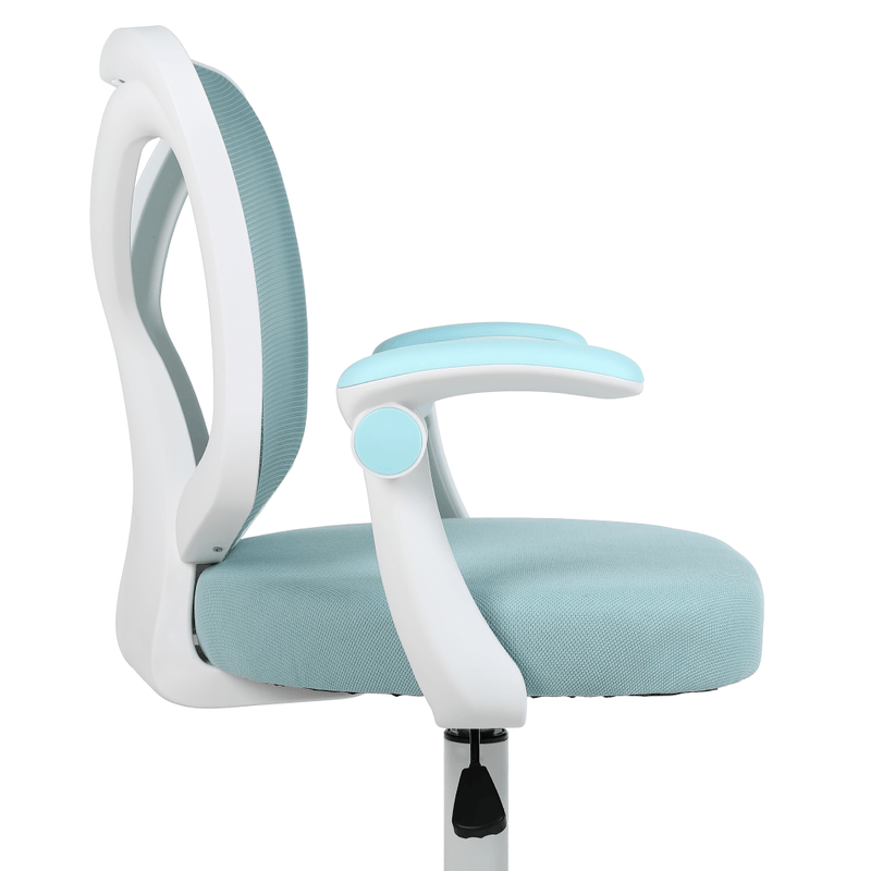 Casa si Gradina - Mobilier - Scaune si fotolii - Scaune - Fotoliu de birou, albastru/alb, SOLARI - Infinity.ro