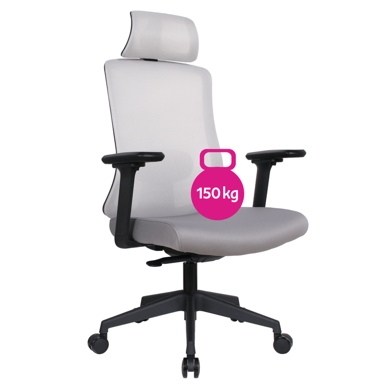 Casa si Gradina - Mobilier - Scaune si fotolii - Scaune - Scaun de birou, gri/negru, portanta 150 kg, ROSANO - Infinity.ro