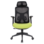 Casa si Gradina - Mobilier - Scaune si fotolii - Scaune - Fotoliu de birou, verde/negru, portanta 150 kg, SULIVAN - Infinity.ro