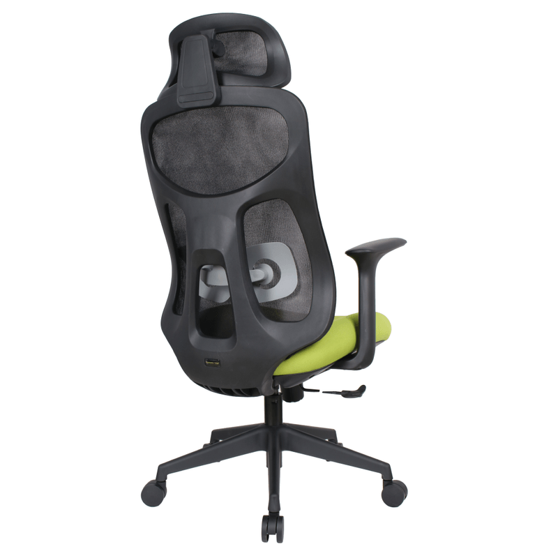 Casa si Gradina - Mobilier - Scaune si fotolii - Scaune - Fotoliu de birou, verde/negru, portanta 150 kg, SULIVAN - Infinity.ro