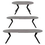 Casa si Gradina - Mobilier - Mese si birouri - Mese bucatarie si dining - Masa de sufragerie extensibila, beton deschis/negru, 100-250x75,5 cm, LUKOS - Infinity.ro