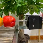 Casa si Gradina - Gradina si terasa - Gratare si accesorii - Accesorii gratare - Motor rotisor, BESEDER, alimentare USB/Baterii, 2-3,5 RPM, pentru gratar, Model FD605A, 25KG - Infinity.ro
