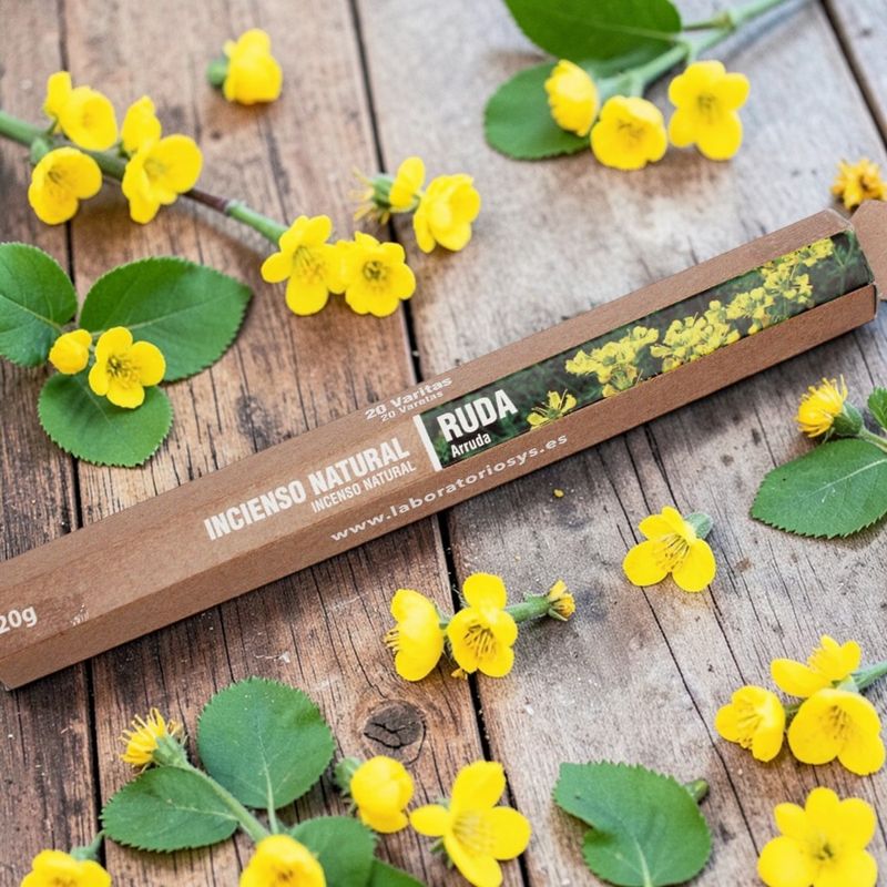 Casa si Gradina - Decoratiuni - Aromaterapie si lumanari - Odorizante camera - Betisoare naturale parfumate SyS Aromas, Ruda 20 bucati - Infinity.ro