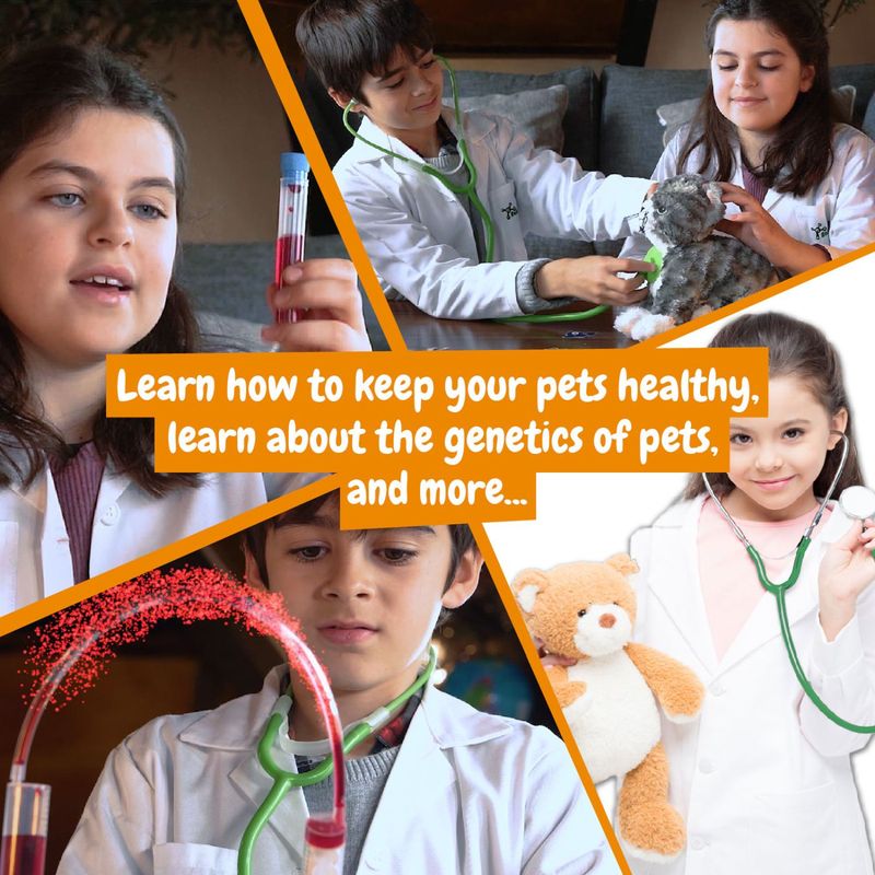 Jucarii, Copii si Bebe - Jucarii si jocuri - Jucarii & jocuri educative - Seturi de artizanat - PRIMUL MEU KIT DE VETERINAR - Infinity.ro