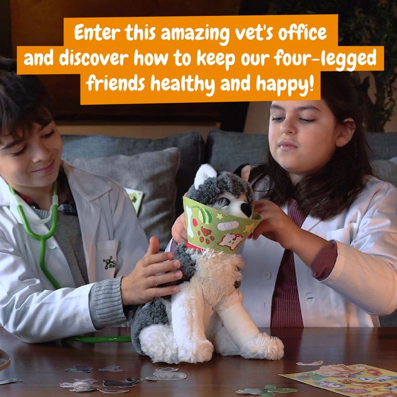 Jucarii, Copii si Bebe - Jucarii si jocuri - Jucarii & jocuri educative - Seturi de artizanat - PRIMUL MEU KIT DE VETERINAR - Infinity.ro