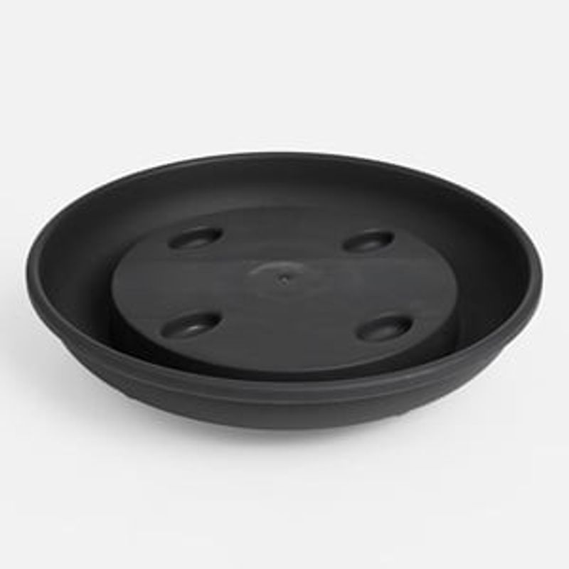 Casa si Gradina - Gradinarit si plante - Plante si ghivece - Ghivece si suporturi - Farfurie Antracit cu Roti pentru Ghiveci Flori cu Scurgere - Infinity.ro