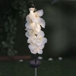 Casa si Gradina - Corpuri si surse de iluminat - Iluminat exterior - Felinare - Felinar Solar Orhidee Albe 70cm cu LED - Infinity.ro