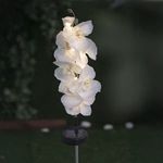 Casa si Gradina - Corpuri si surse de iluminat - Iluminat exterior - Felinare - Felinar Solar Orhidee Albe 70cm cu LED - Infinity.ro