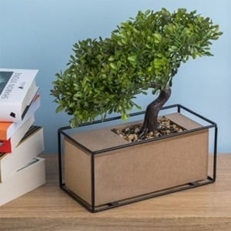 Casa si Gradina - Decoratiuni - Obiecte decorative - Plante artificiale - Ghiveci cu Bonsai Artificial si Baza din Lemn, 21x11x28cm - Infinity.ro