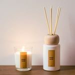 Casa si Gradina - Decoratiuni - Aromaterapie si lumanari - Lumanari si candele - Set Odorizant cu Betisoare si Lumanare, Mosc Alb, 80 ml - Infinity.ro
